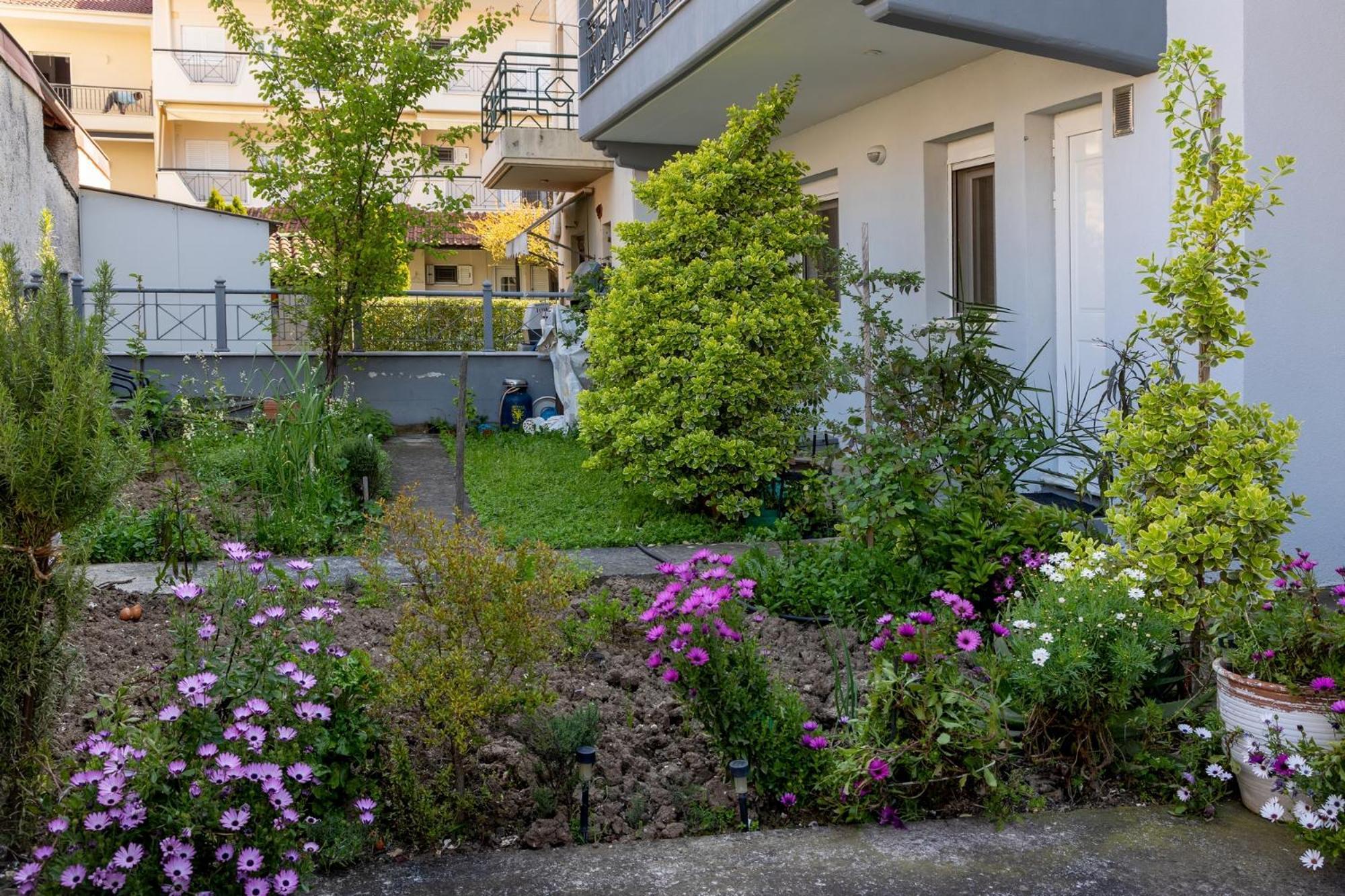 Zant House Apartment Trikala  Ngoại thất bức ảnh